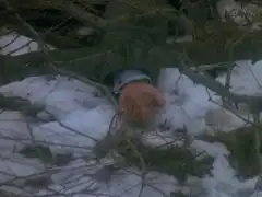 Закон и порядок 1 сезон 7 серия