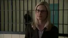 Закон и порядок. Специальный корпус 3 сезон 22 серия