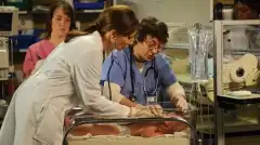 Закон и порядок. Специальный корпус 10 сезон 5 серия