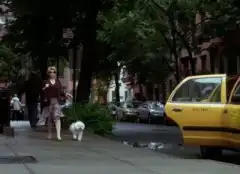 Закон и порядок. Преступное намерение 3 сезон 4 серия