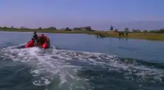 Закон и порядок. Преступное намерение 5 сезон 7 серия